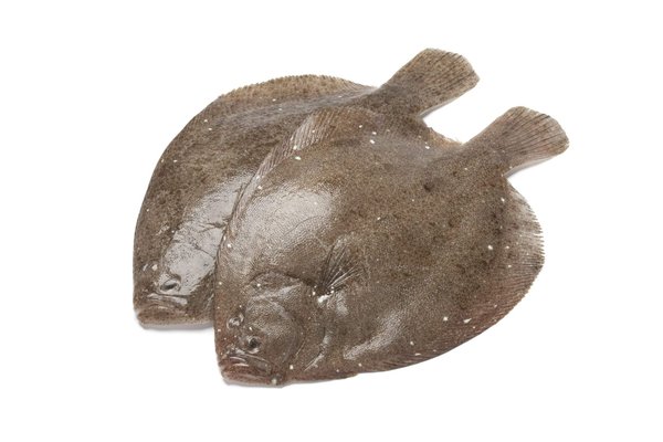 5 astuces pour avoir des cheveux brillants naturellement