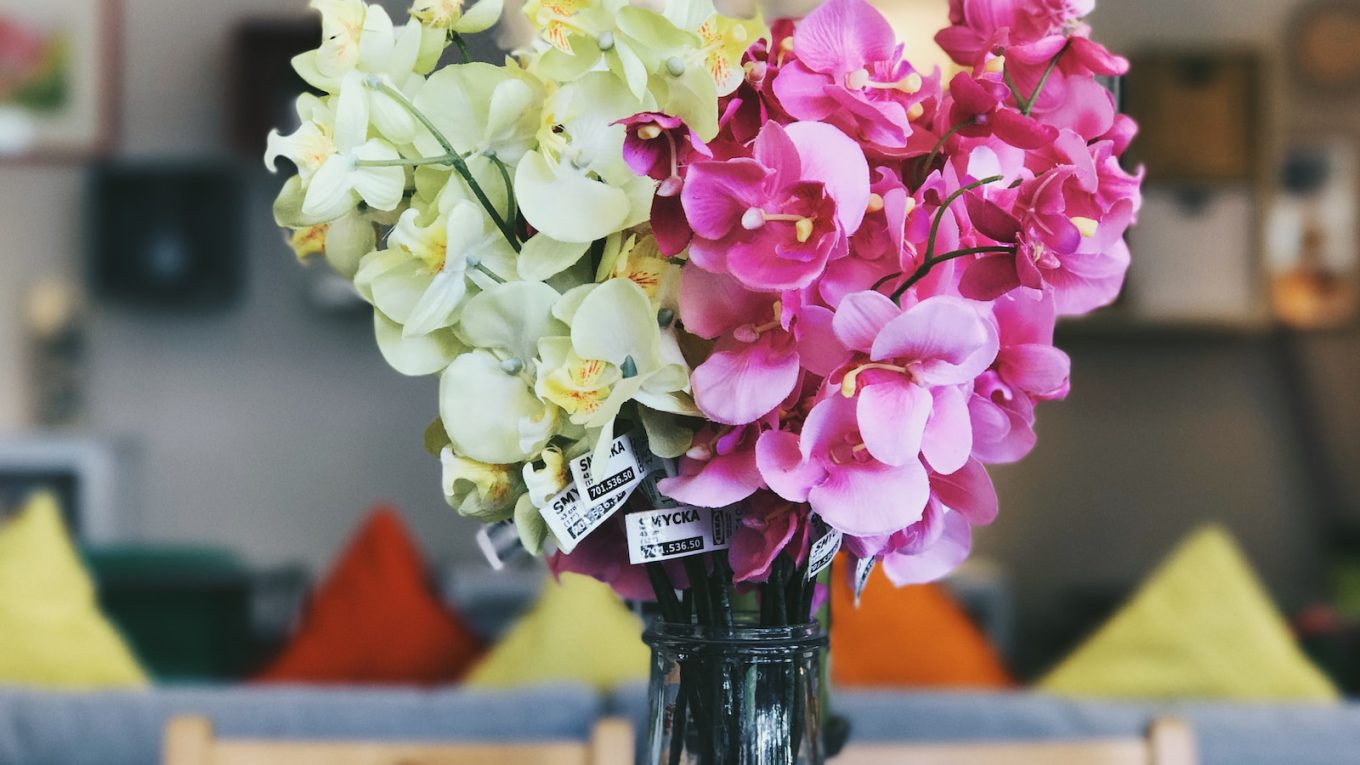 pink and green flowers on vase